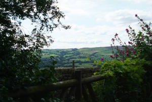 Looking North