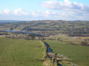 Looking West