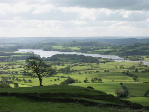 Looking South