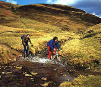 Rent a bike for the day! Road or Mountain?